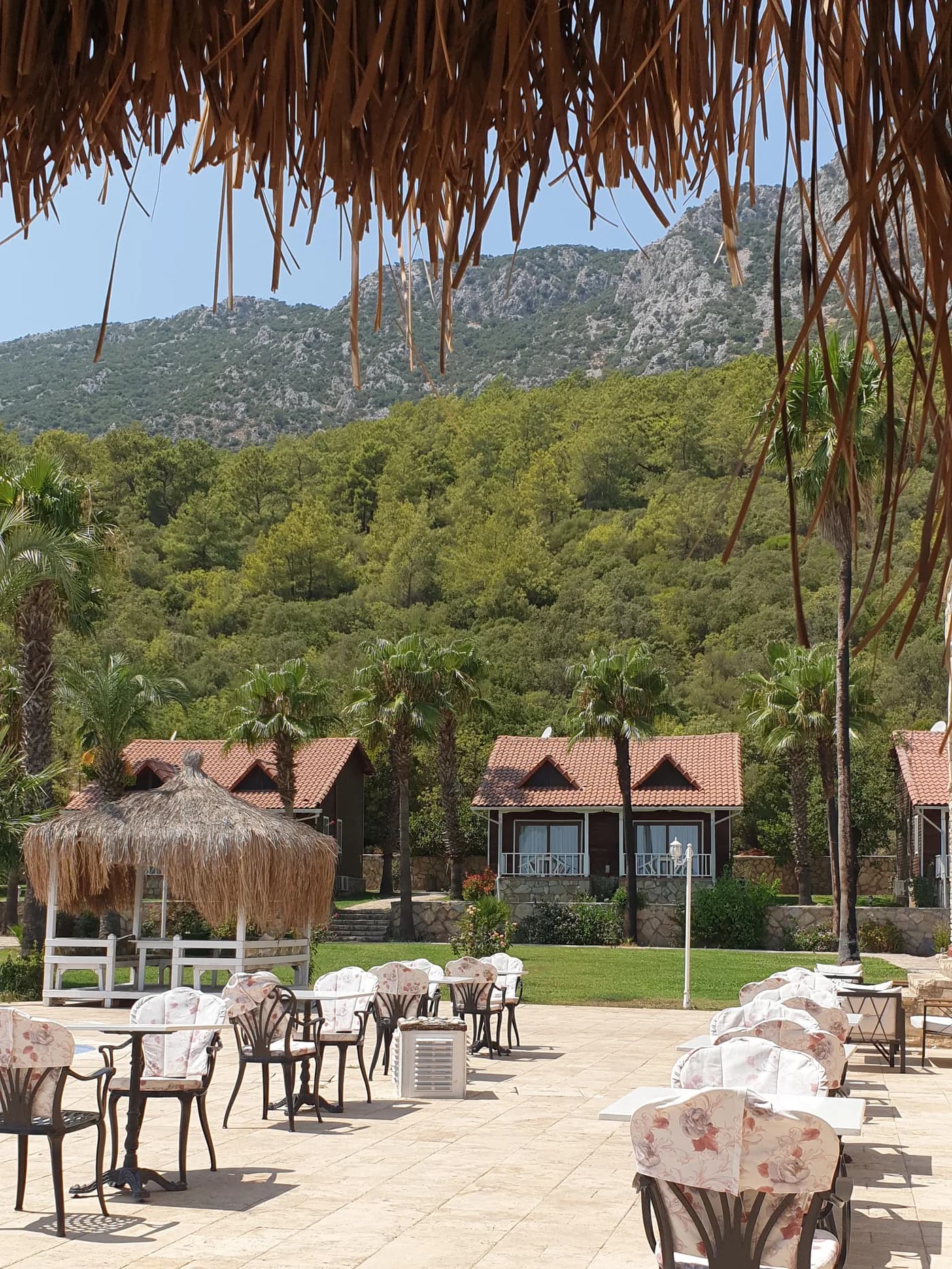 Club Sun Village bungalovları, arkada çam ormanı ve Beydağları