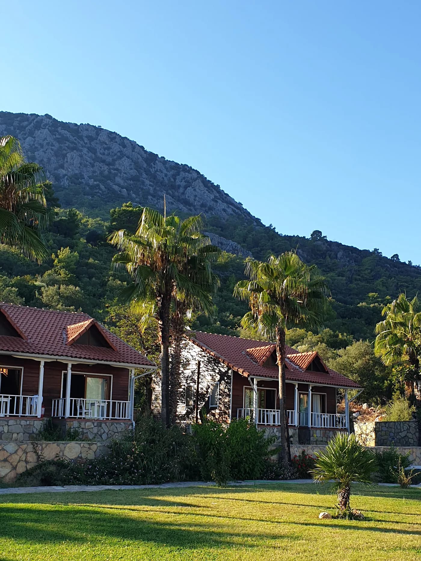 Club Sun Village ahşap bungalovlar, palmiyeler ve çimen bahçe